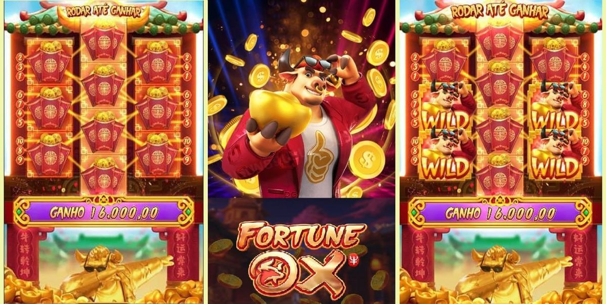 Robinroo Casino کیسینو میں سلاٹ کھیلنا شروع کریں۔